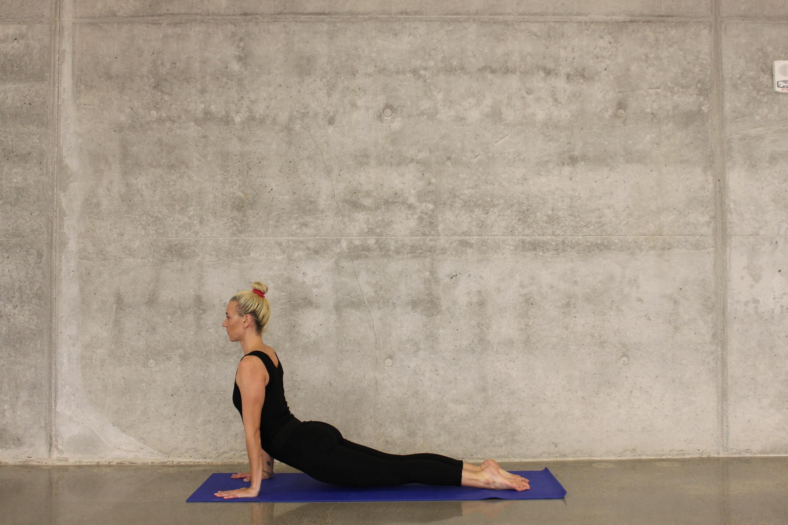 Hund som ser opp yogastilling