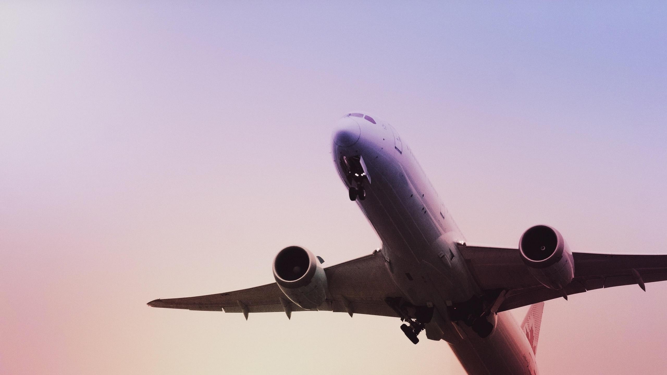 Fly