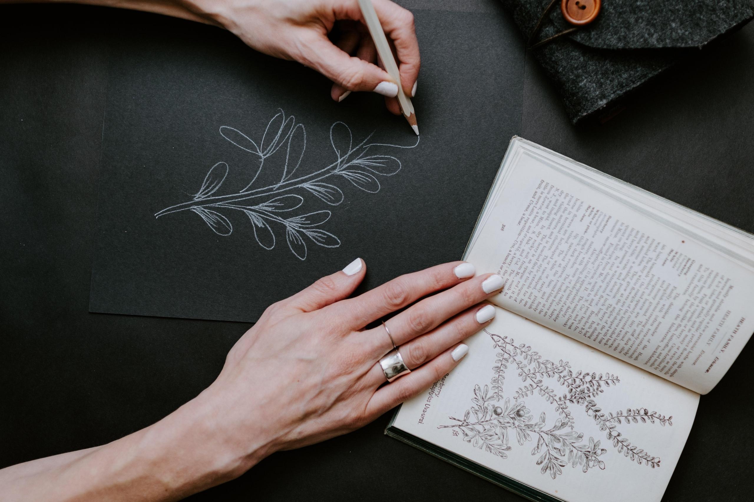 hender tegner blomst etter bilde i bok.