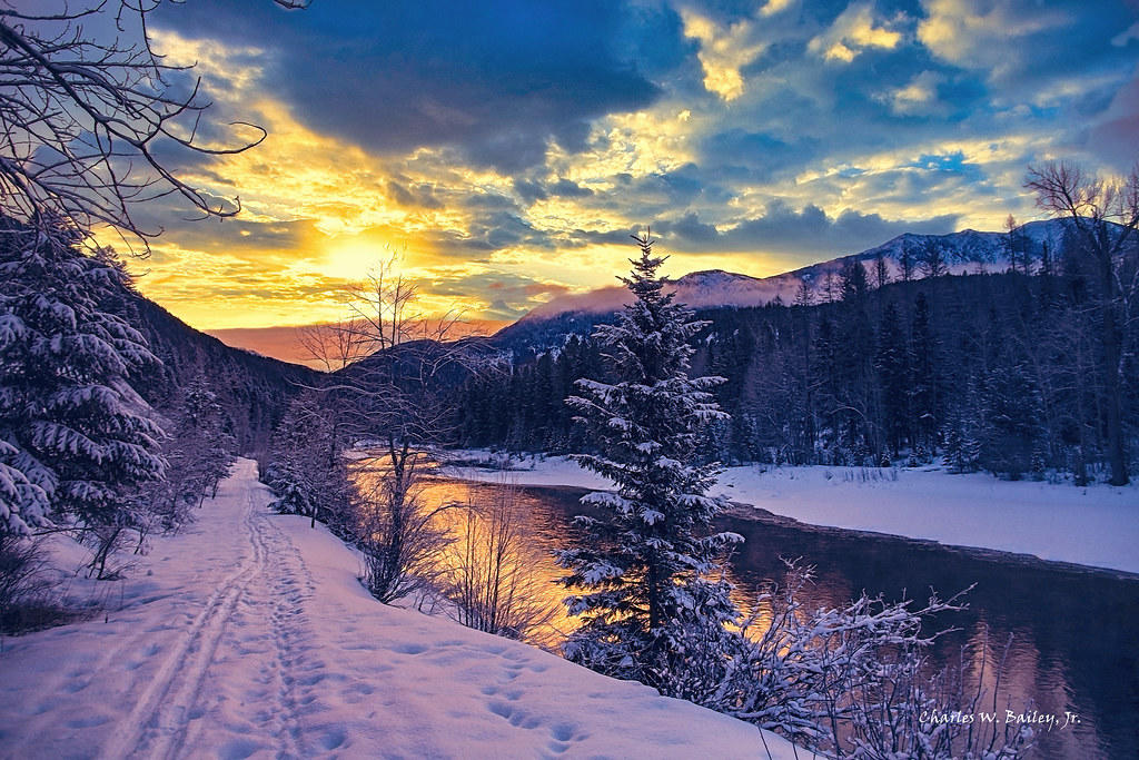 bilde av en elv og snødekket skog