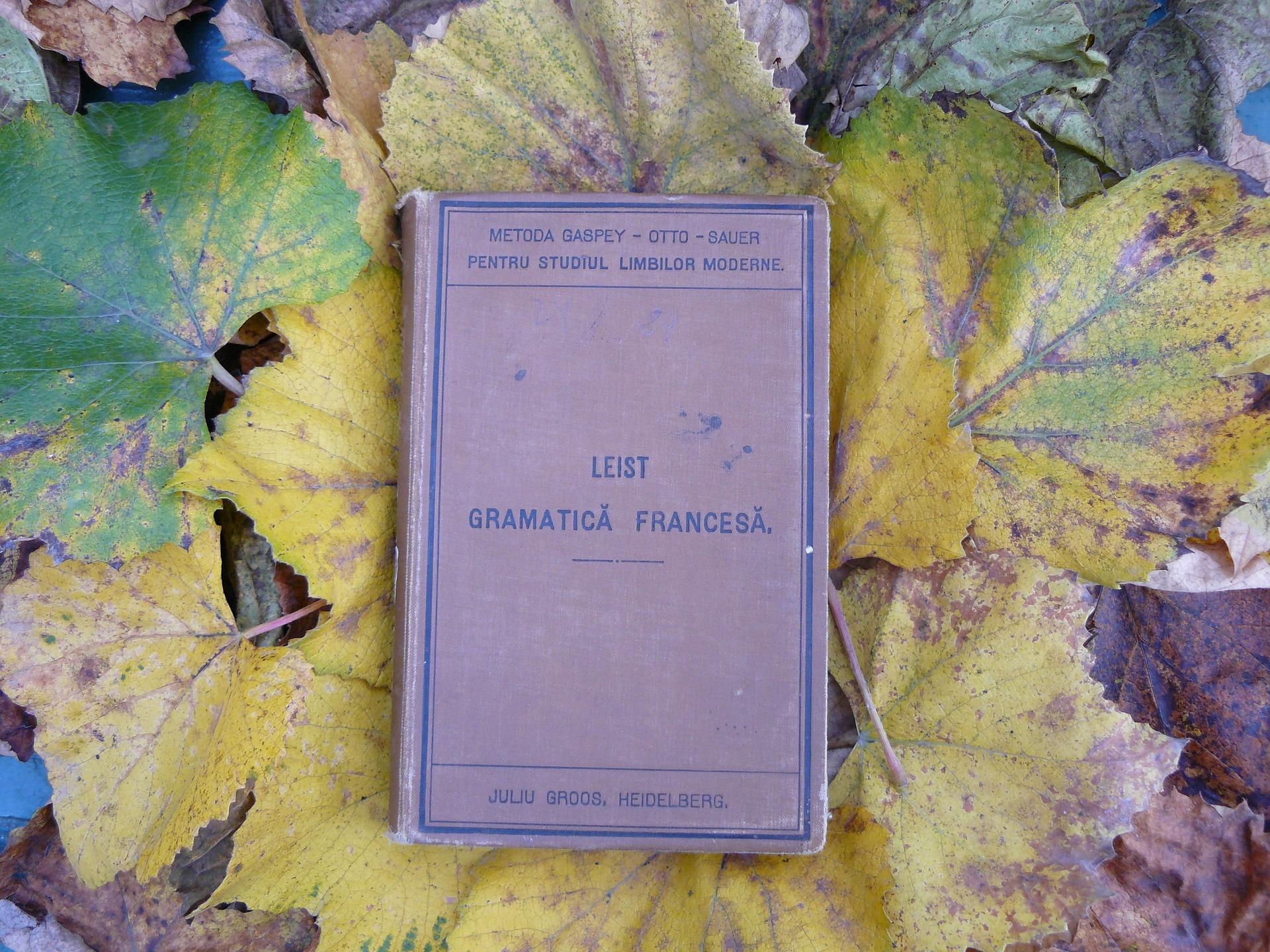 Fransk grammatikkbok