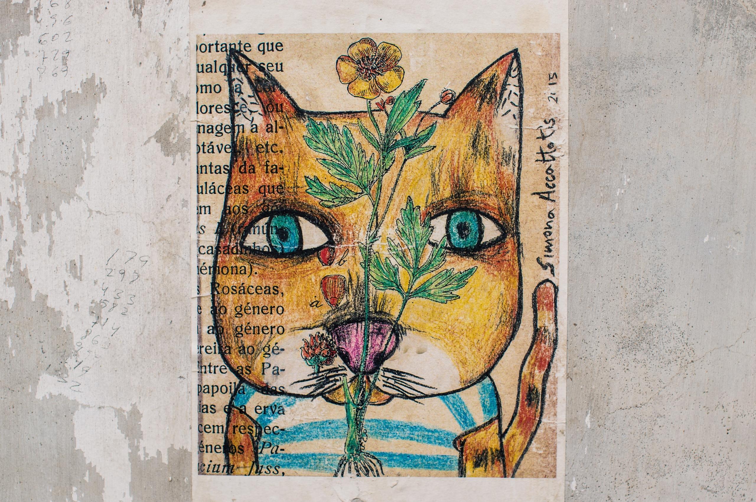 gatekunst, tegning av en katt med portugisisk tekst langs siden