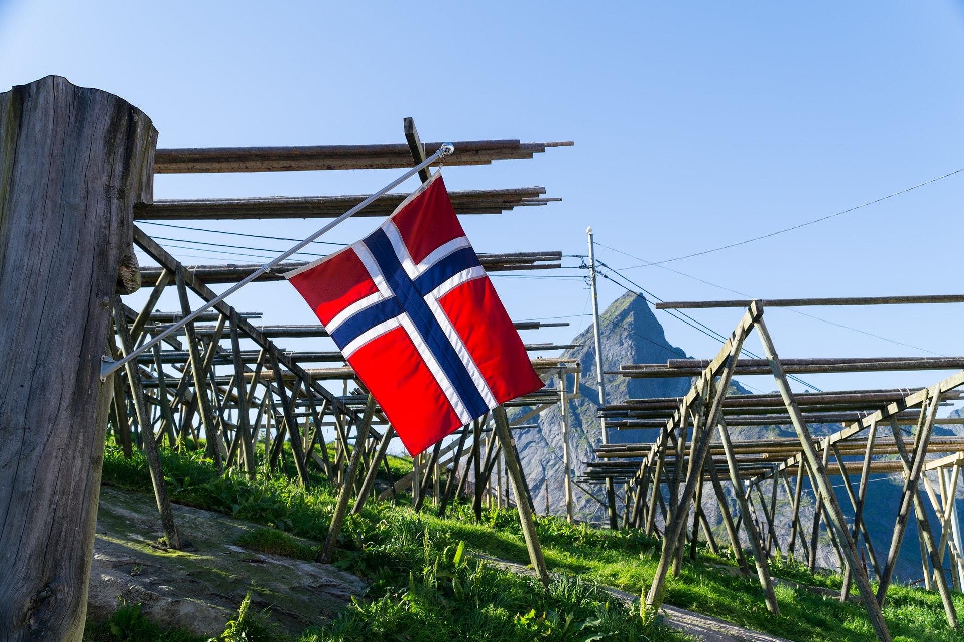 Et norsk flagg som henger ute i naturen foran et fjell