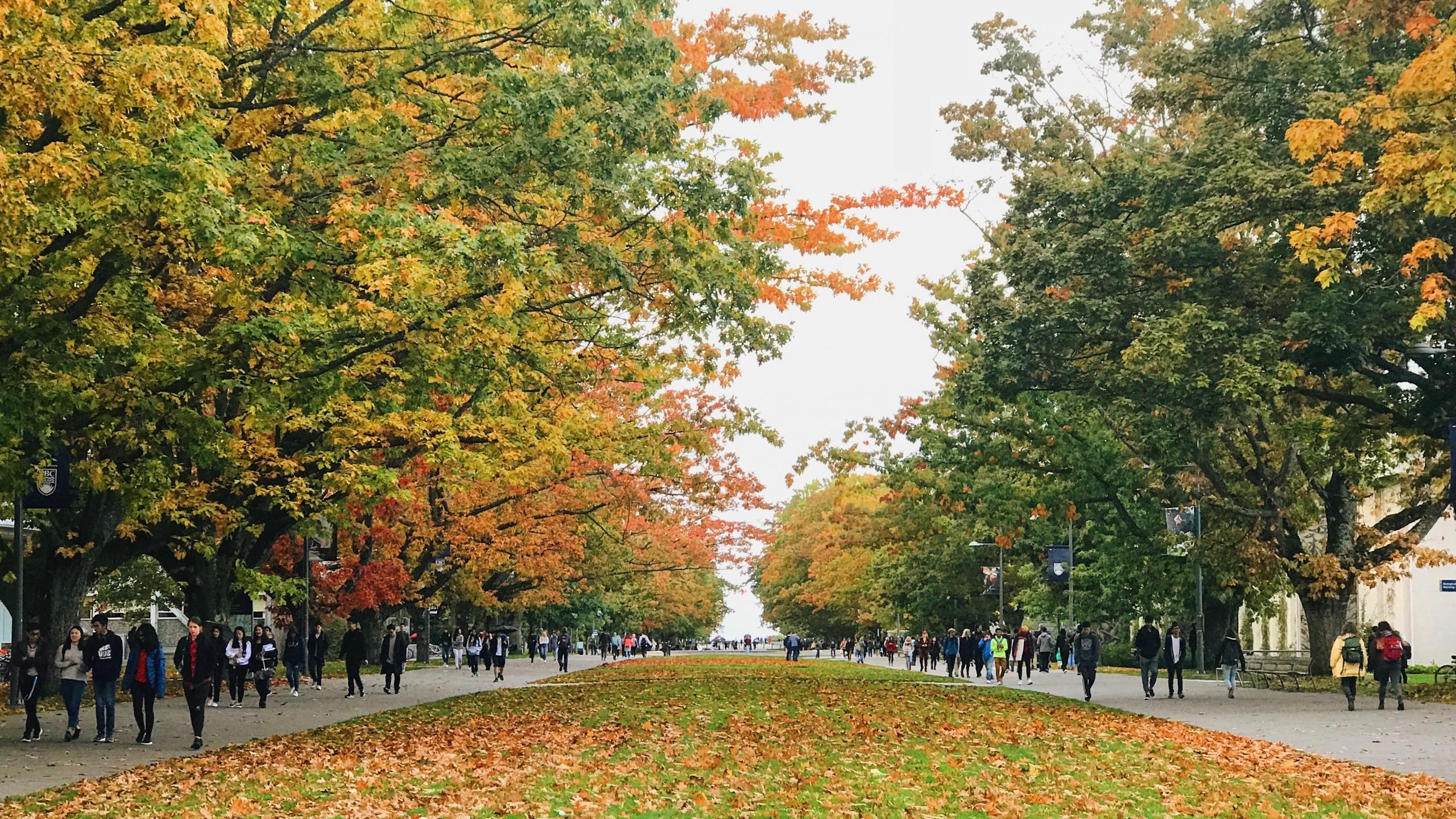 utvekslingsstudenter ved et canadisk universitet går over en stor campusplass