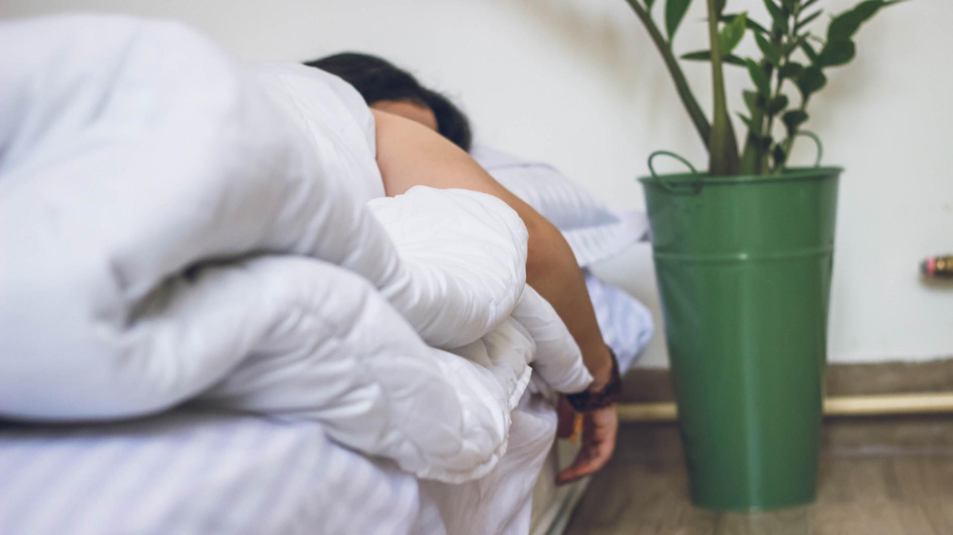 Dame sover i seng med hvitt sengetøy, plante i grønn potte står ved siden av.