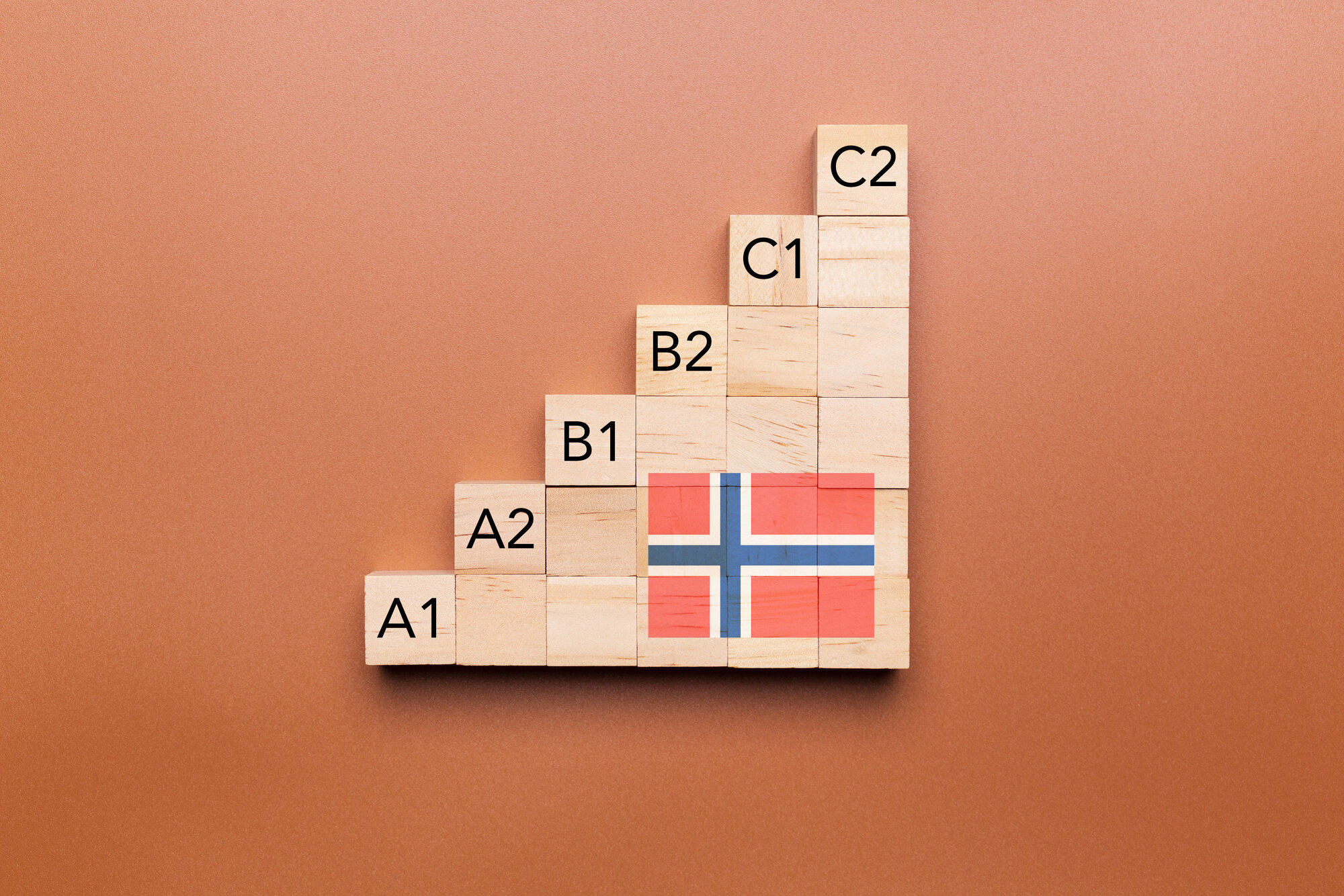 Nivåene i Norsk språktest