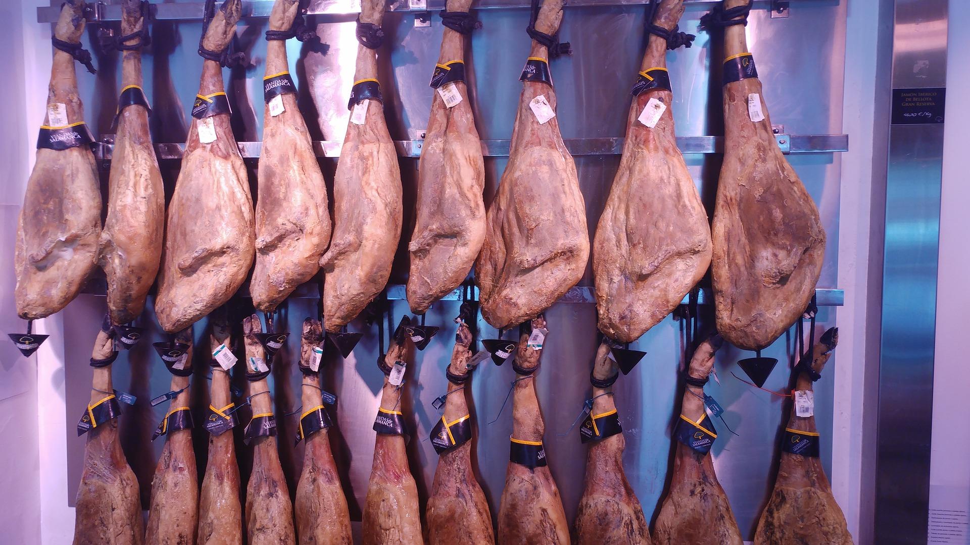 Iberico-skinke