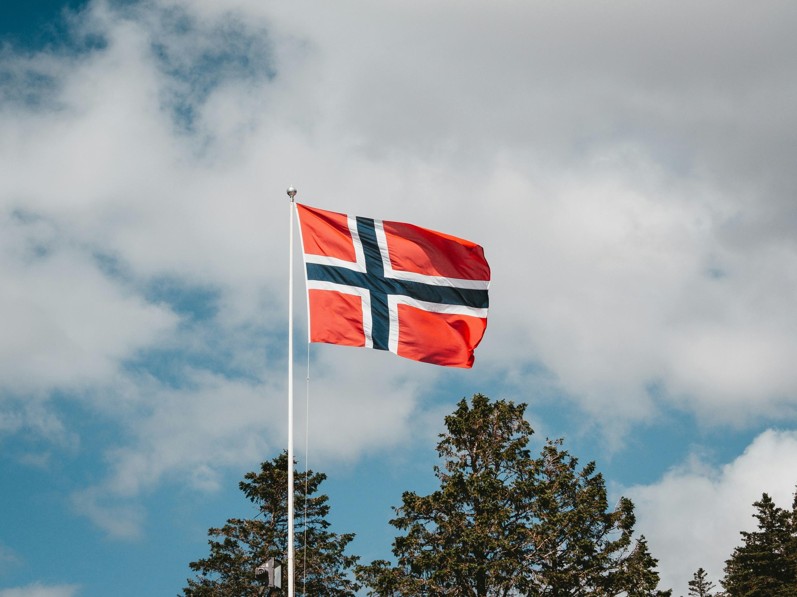 Det norske flagget på flaggstang med blå himmel med skyer og trær bak.