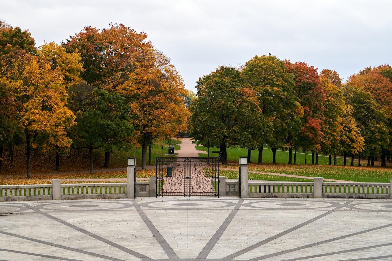 Park i Oslo er perfekt for trening