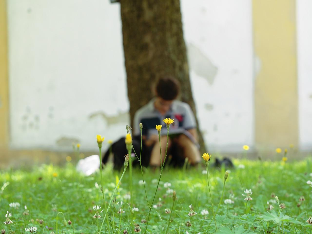 Gutt sitter på gresset inntil et tre og leser en bok
