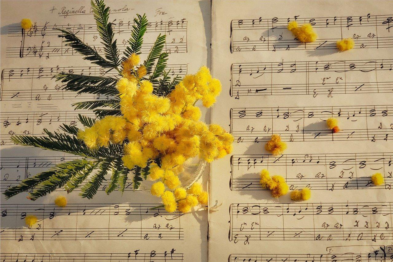 En gren av gule mimosa-blomster ligger på åpne noteark med håndskrevne notater.