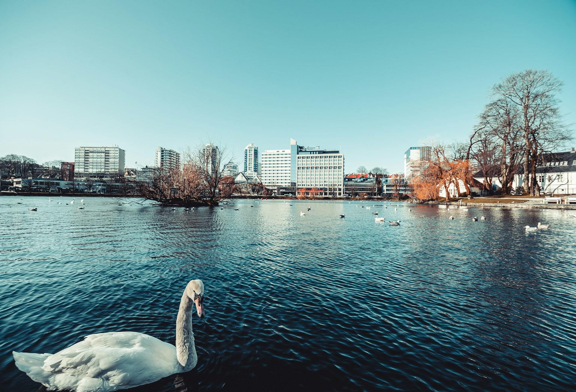 Bilde av Stavanger fra vannkanten.