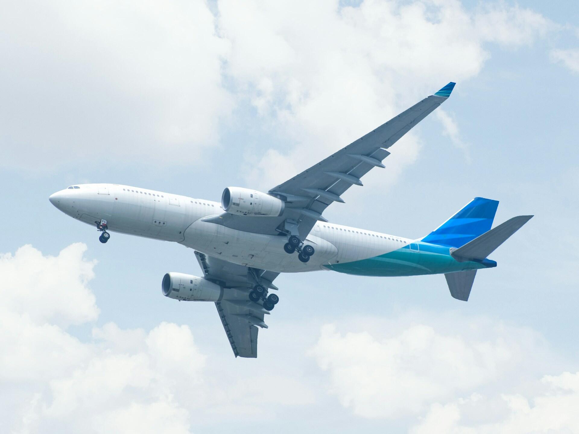 fly med blå farge bak sett underfra