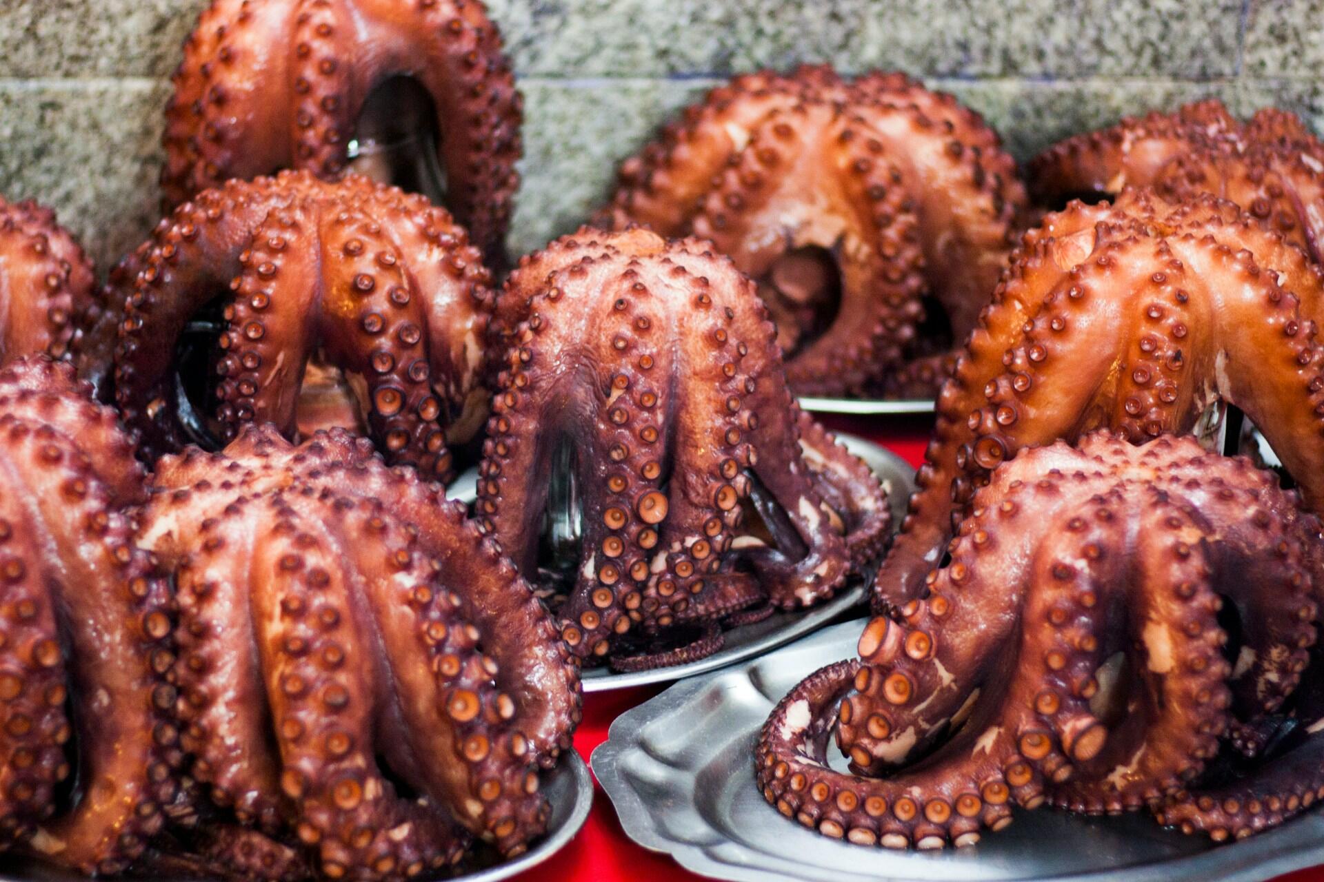 Kokt blekksprut til pulpo a la Gallega, servert på fat på marked i Spania