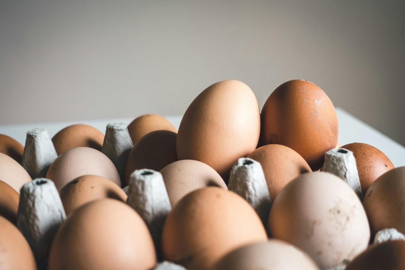 Friske egg i en eggekartong.