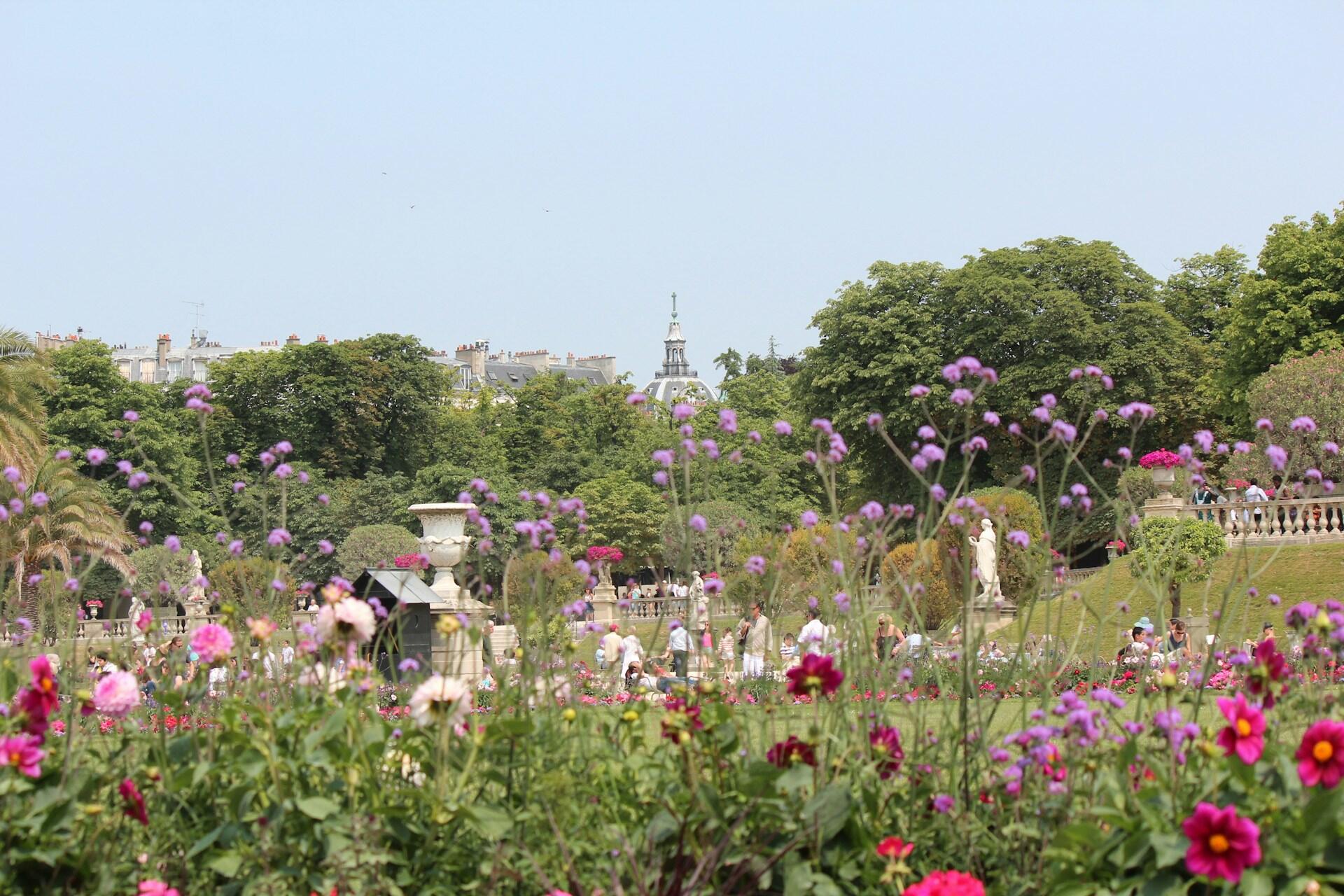 Rosa og lilla blomster i en grønn park med flott fransk arkitektur i bakgrunnen.