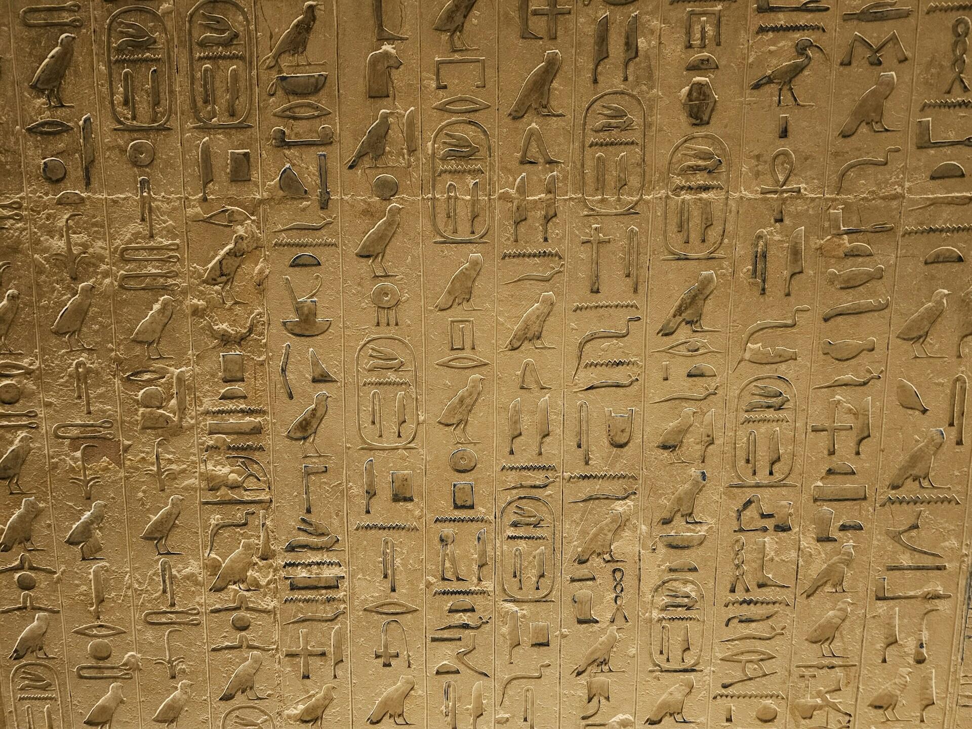 Vegg med hieroglyfer som viser fugler og symboler brukt i det egyptiske skriftspråket