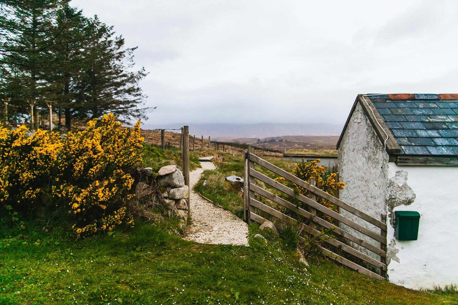 Grusvei gjennom åpent landskap i Fintown, Irland, med tradisjonell hytte og blomstrende busker.