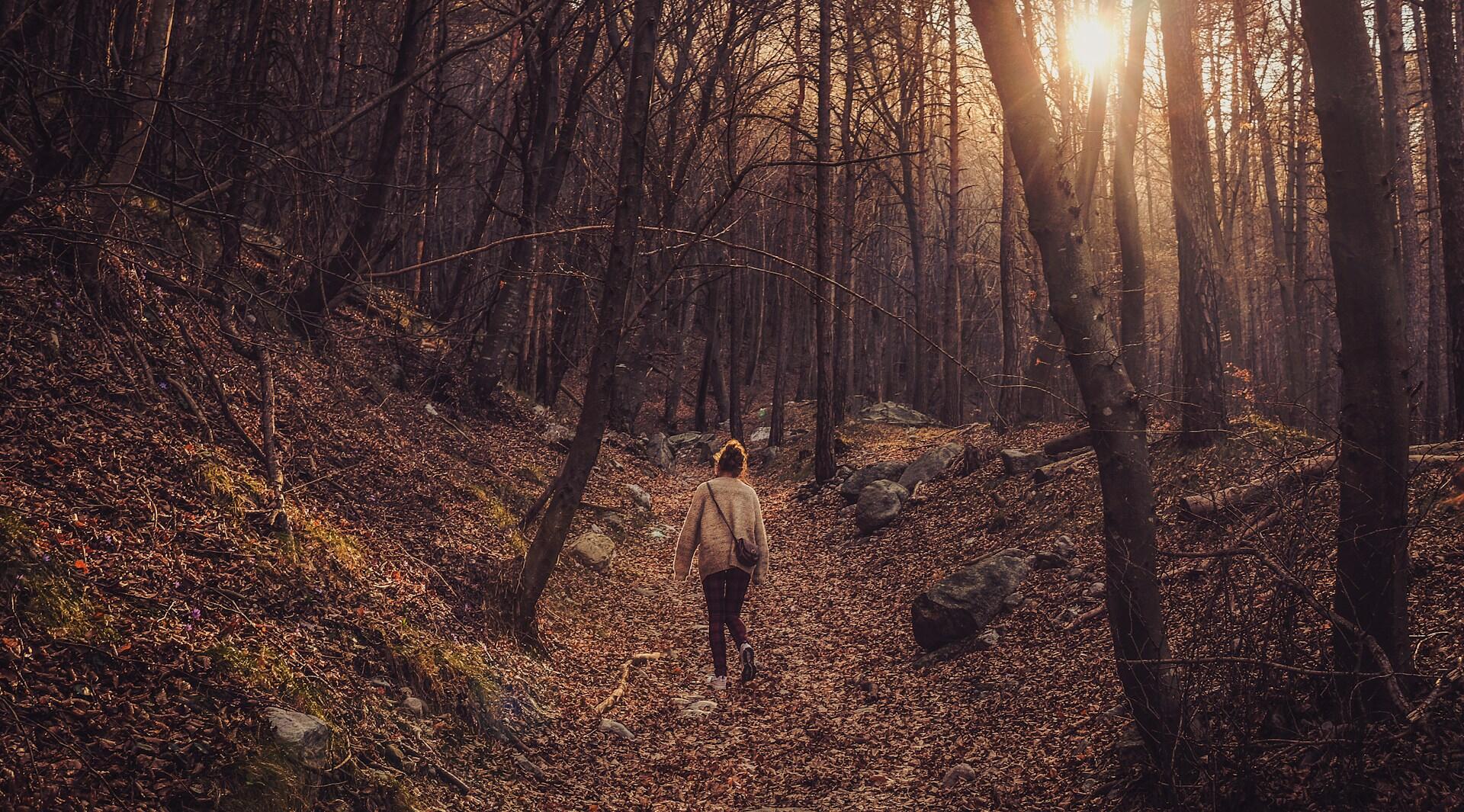 Same med beige genser og veske går en tur i en mørk skog, med høstblader, mens solen skinner mellom trærne