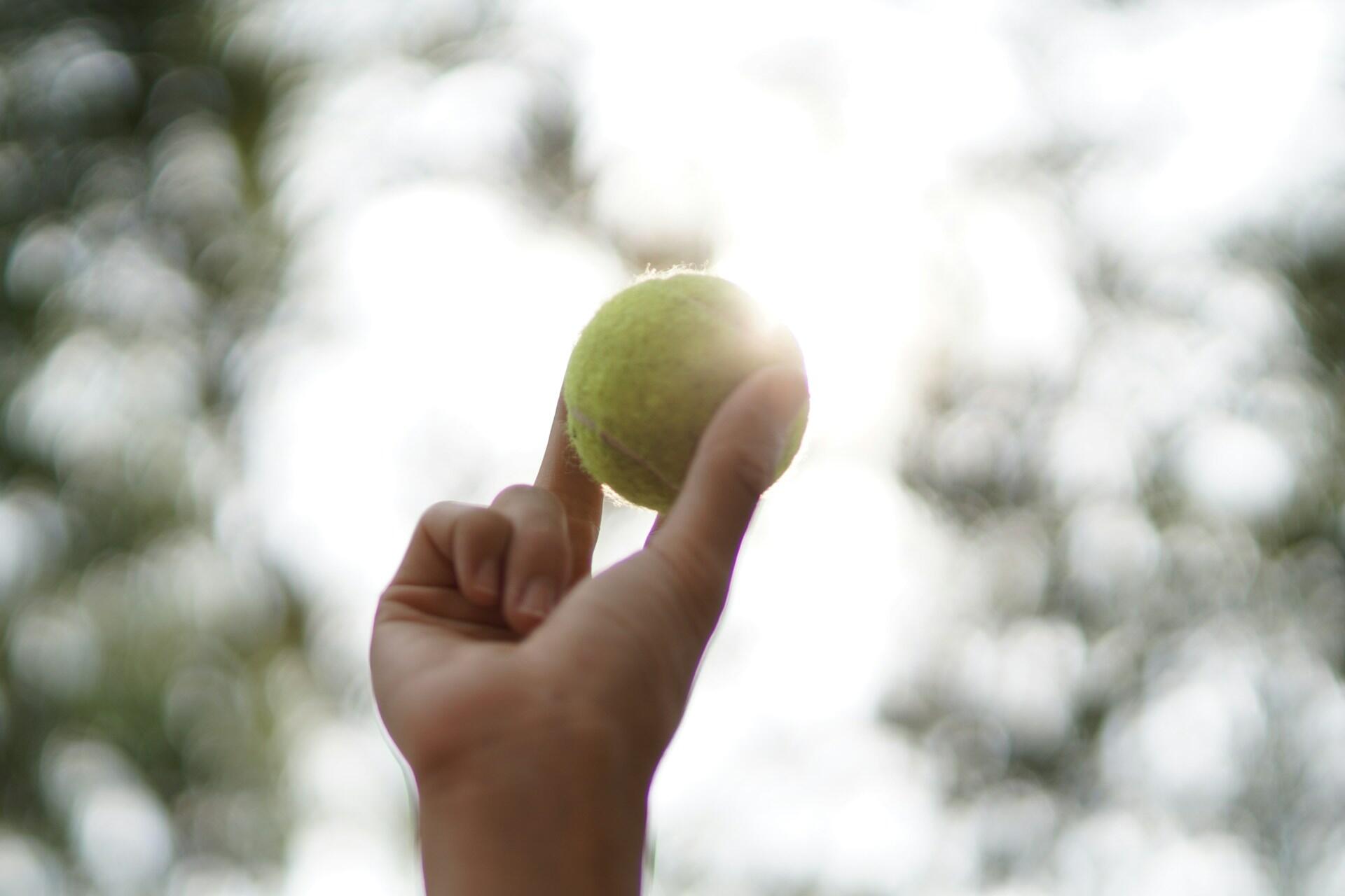 Nærbilde av en hånd som holder en tennisball opp mot solen