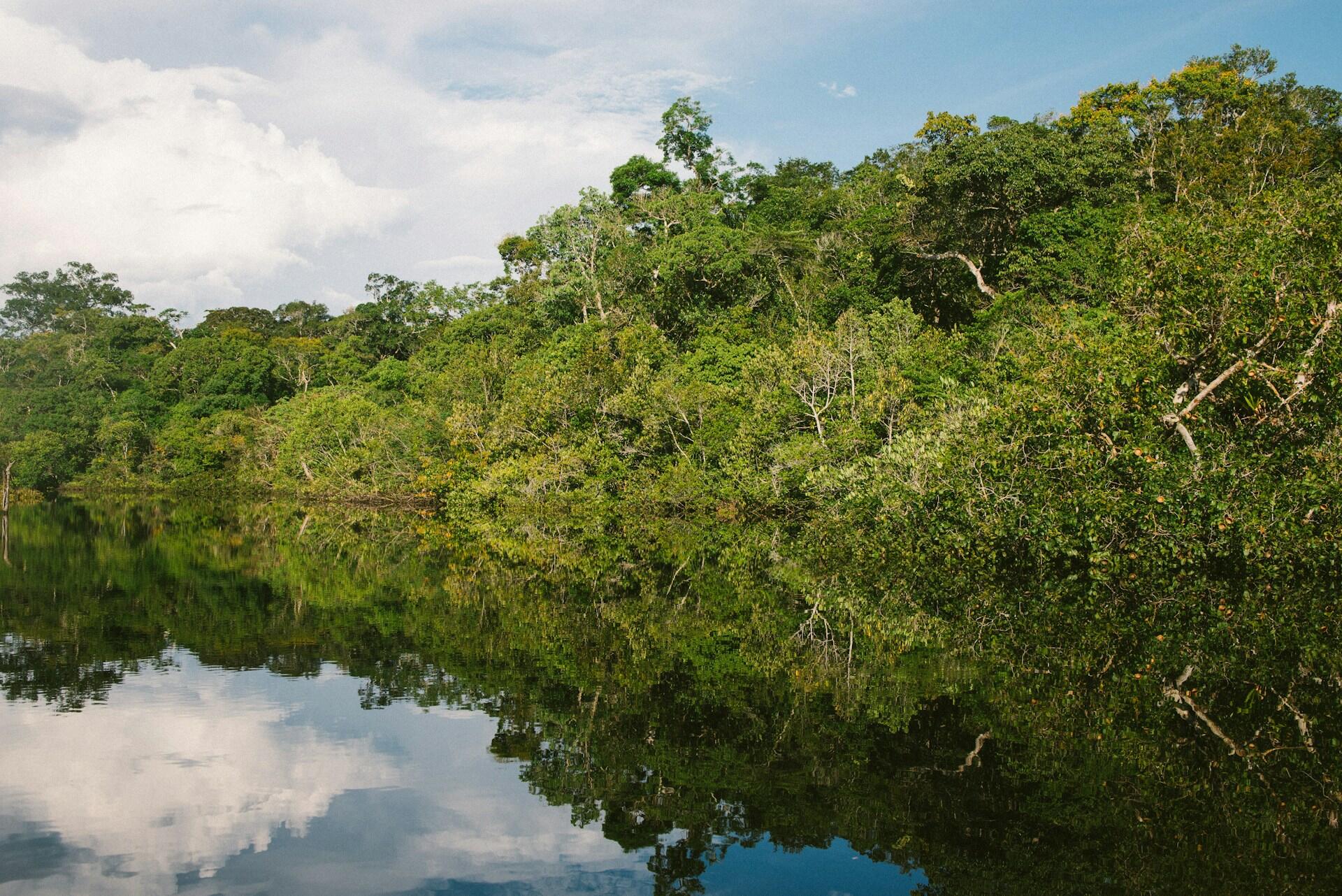 Amazonas regnskog speiles i stille vann under delvis skyet himmel