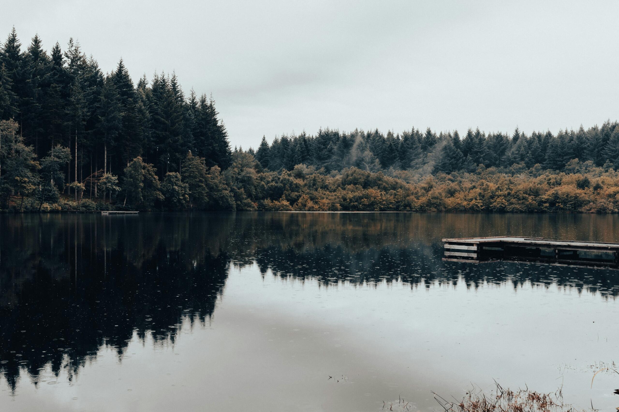 Stille skogstjern omgitt av trær og speilblankt vann