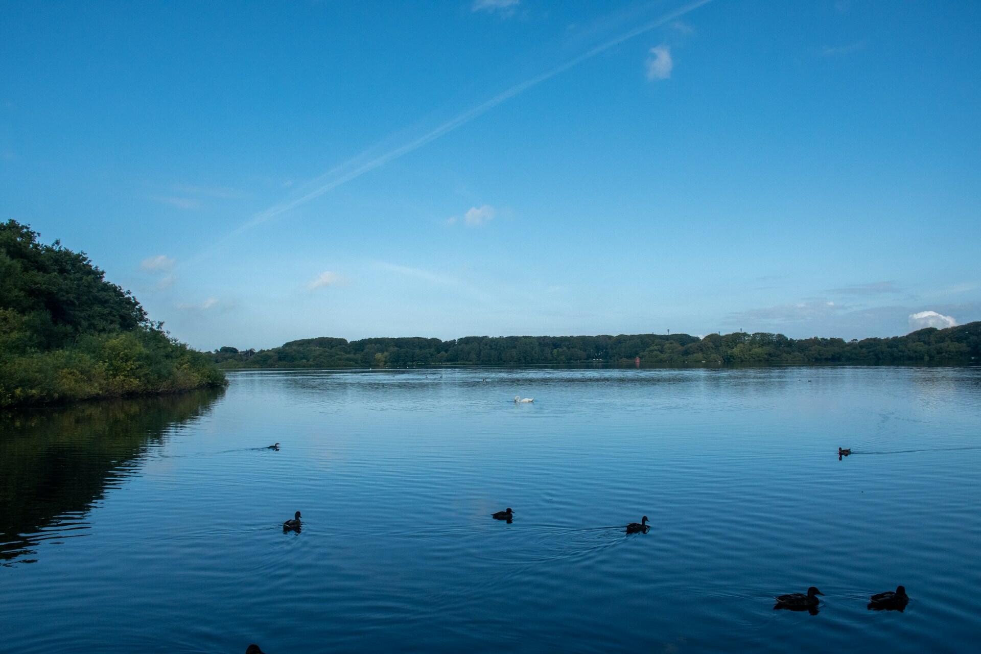 Innsjø i Stavanger kommune i Rogaland med stille vann og bynært landskap