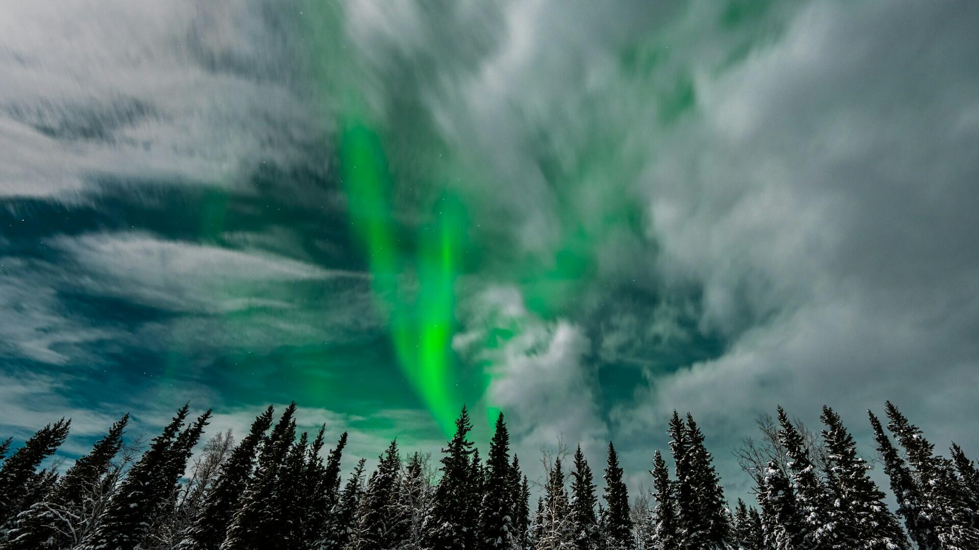 Nordlys over snødekt skog, som viser hvordan partikler fra sola påvirkes av jordens magnetfelt.