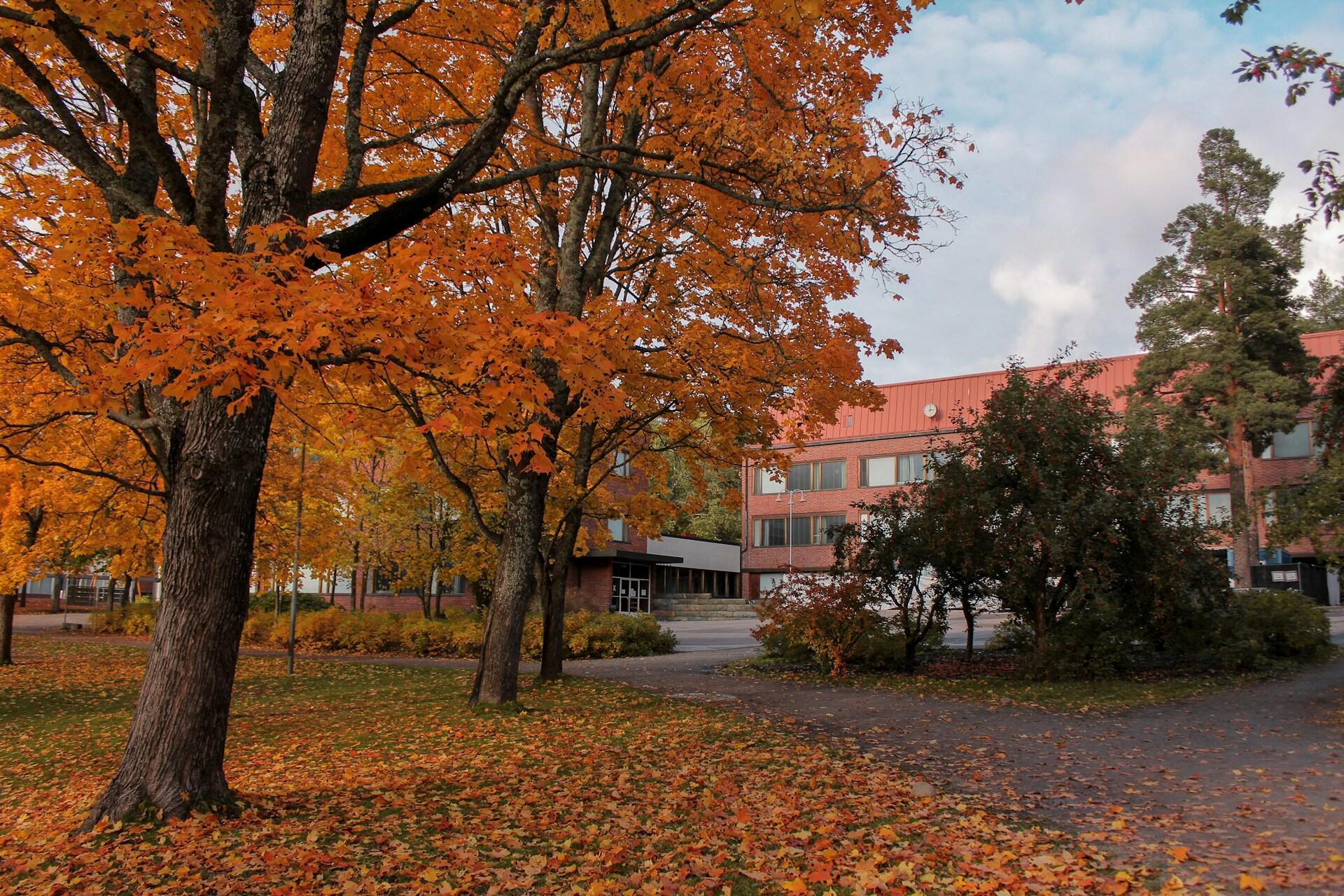 Skolebygning i Finland omgitt av høstfarget lønn, der finsk skole lekser skiller seg fra norsk praksis