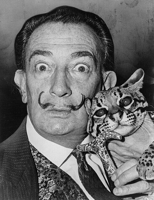Svart-hvitt-bilde av Salvador Dalí med sin karakteristiske bart og en ozelot.