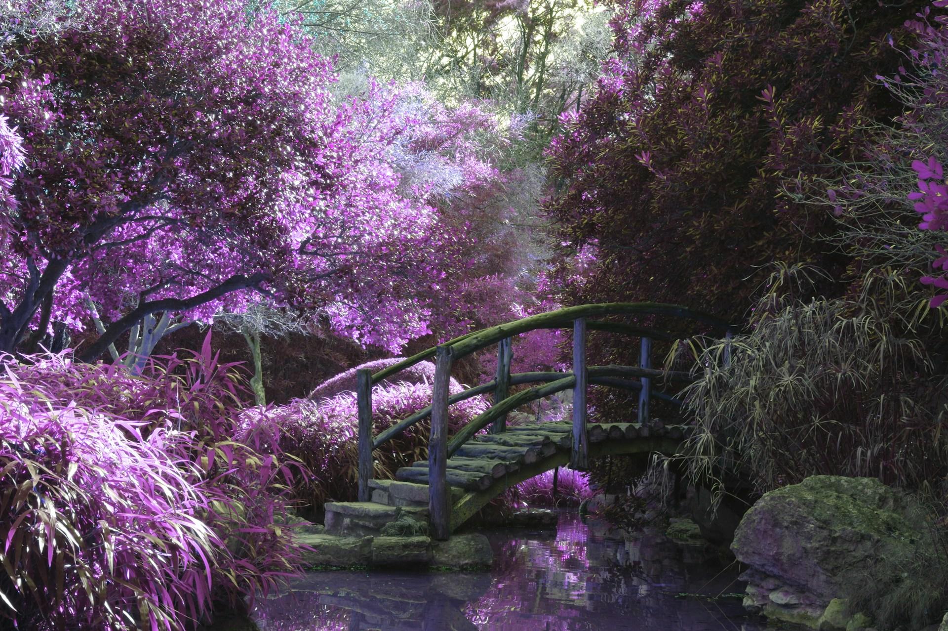 A landscape photograph of flowers and a bridge by a stream.