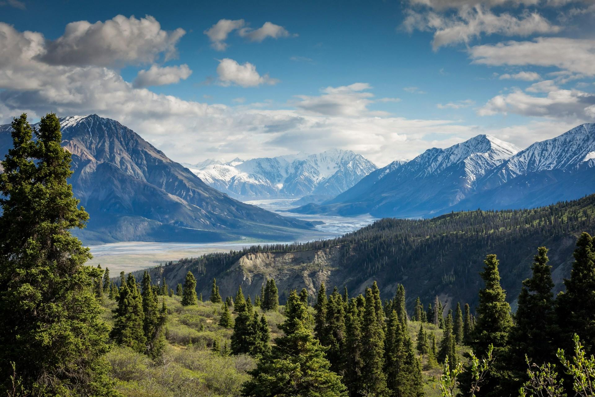 Landscape photography of mountains and a forest.