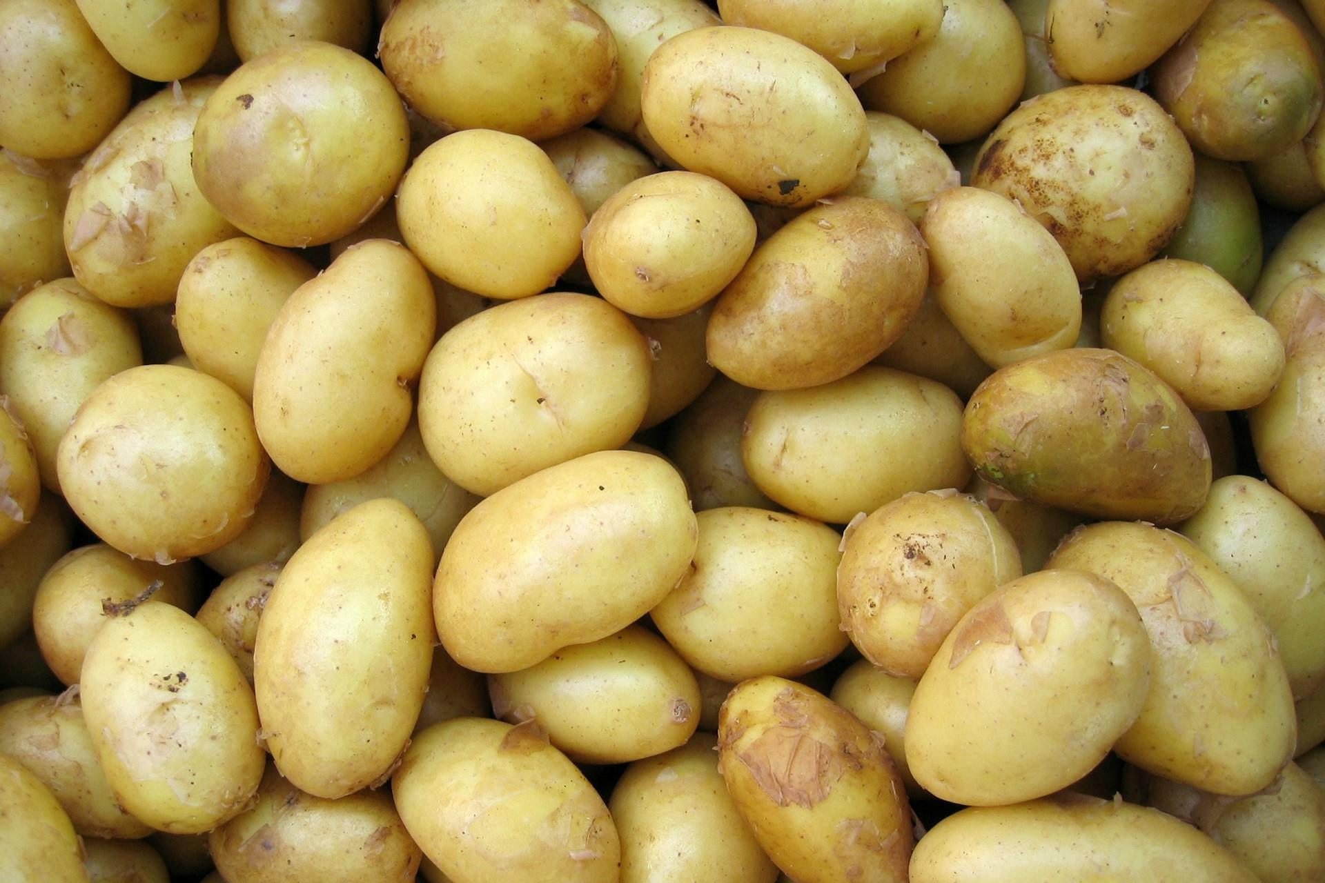 A pile of potatoes.