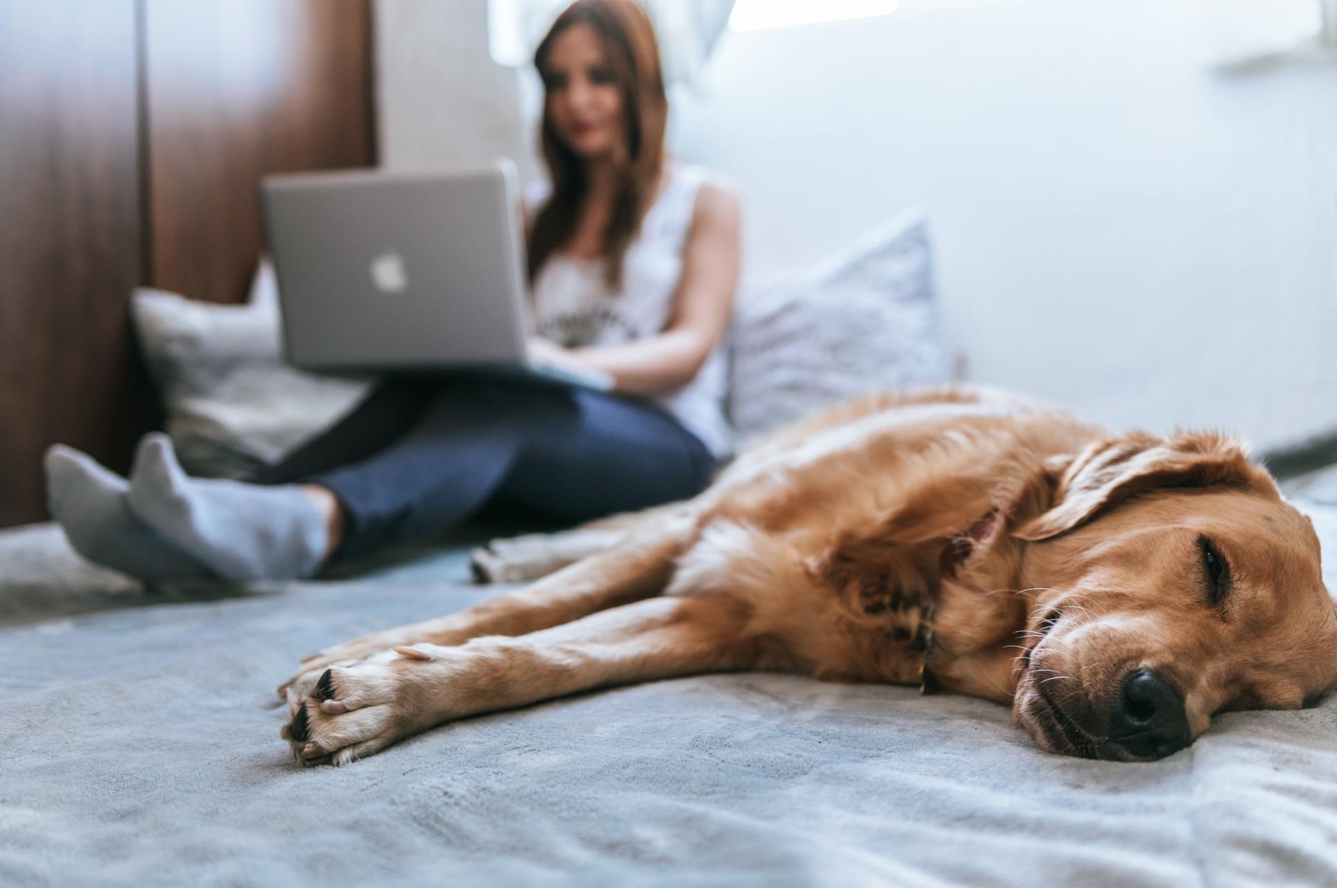 A woman studying beside a dog