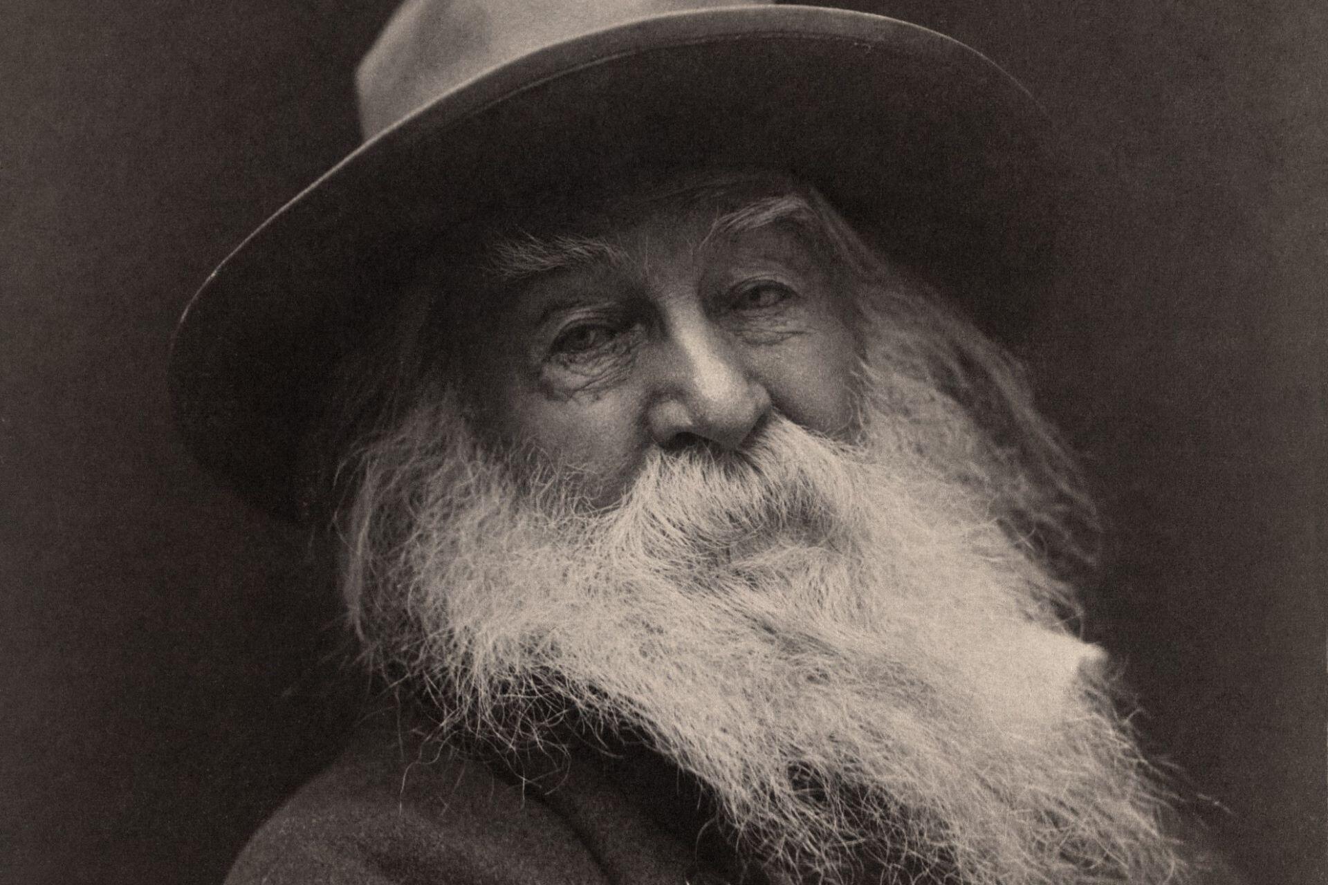 Walt Whitman portrait