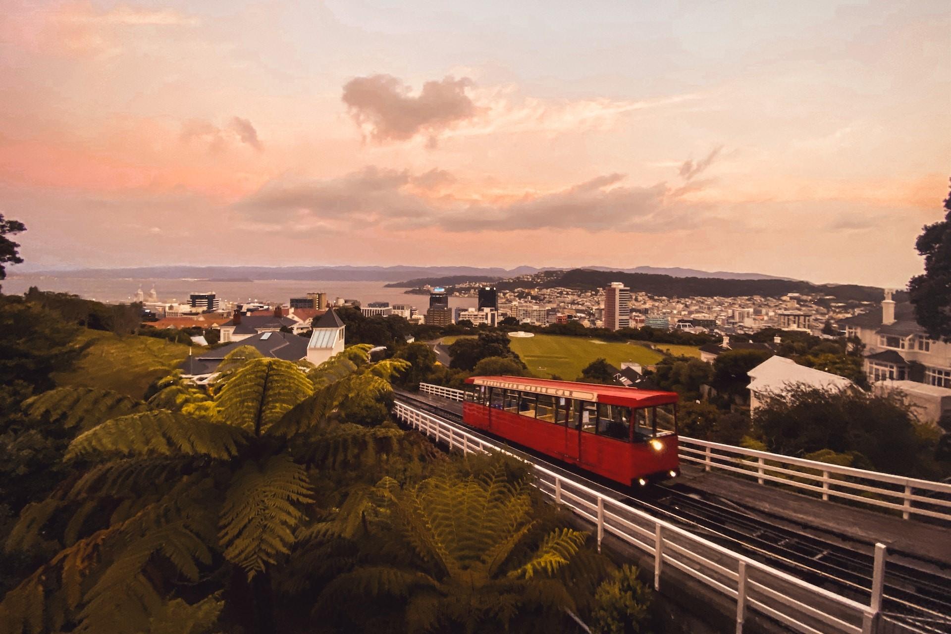 Wellington at sunset.
