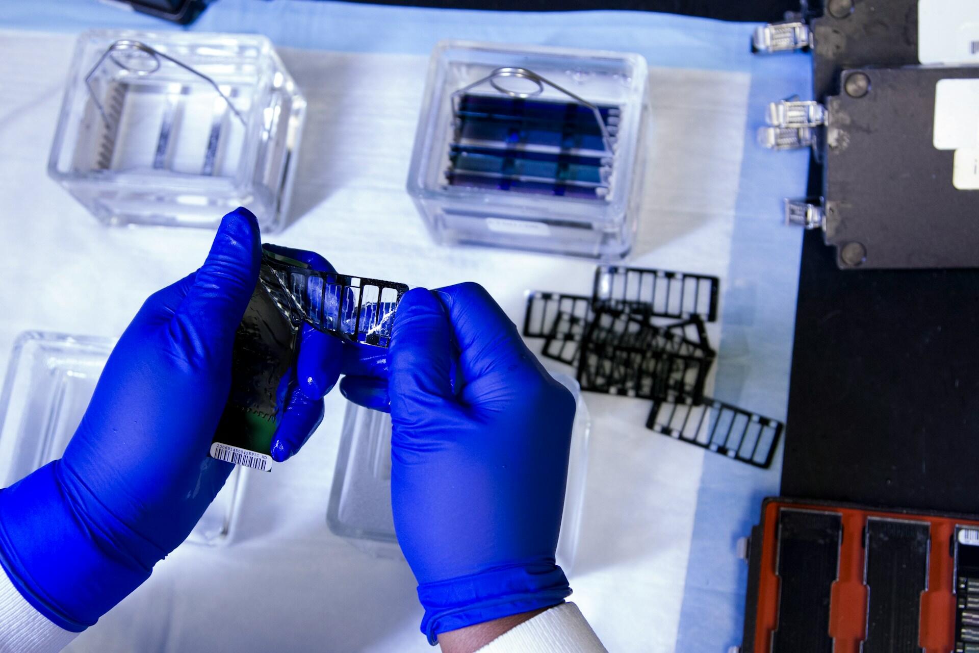 gloved hands holding a strip of DNA samples in a laboratory setting