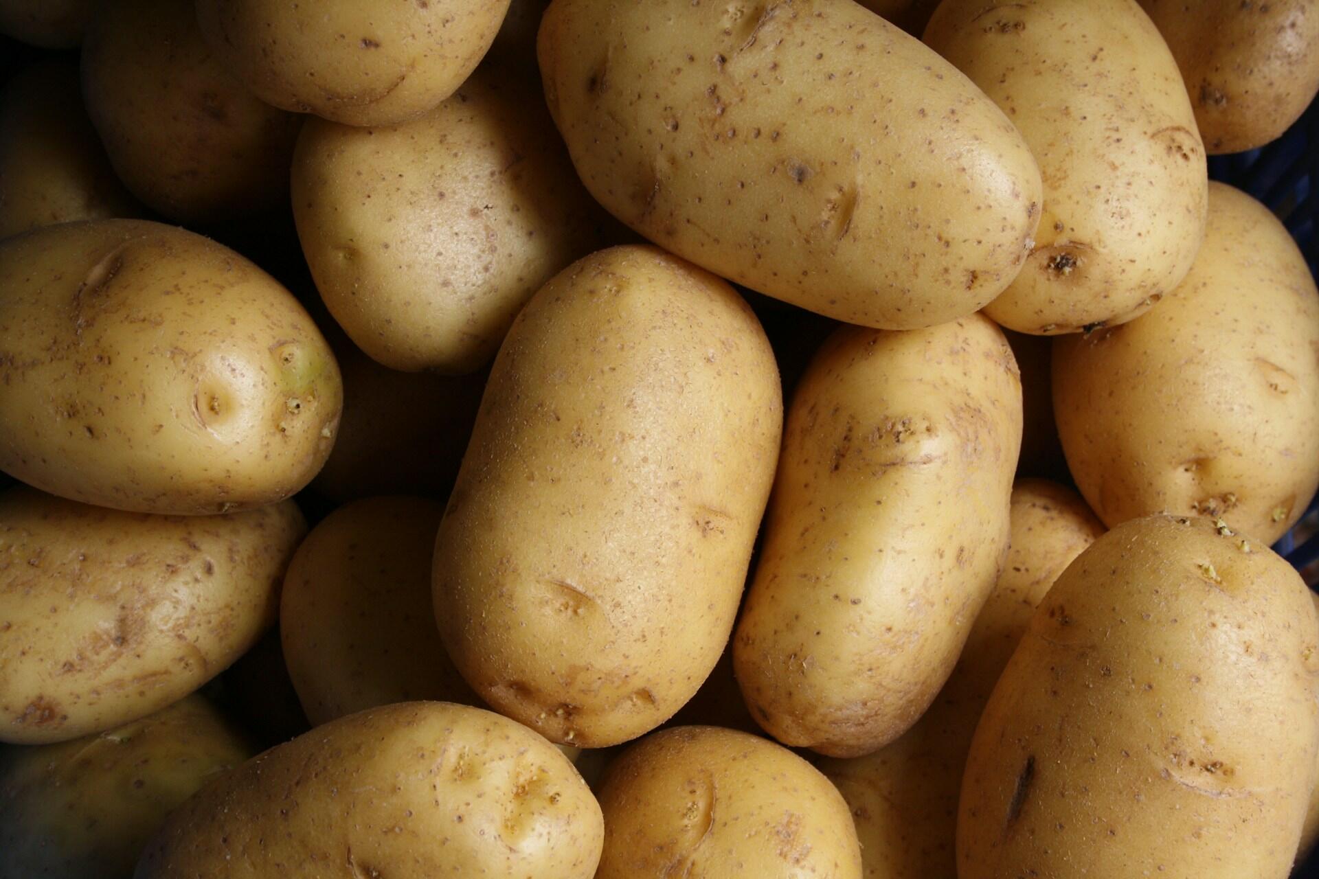 Fresh potatoes piled together