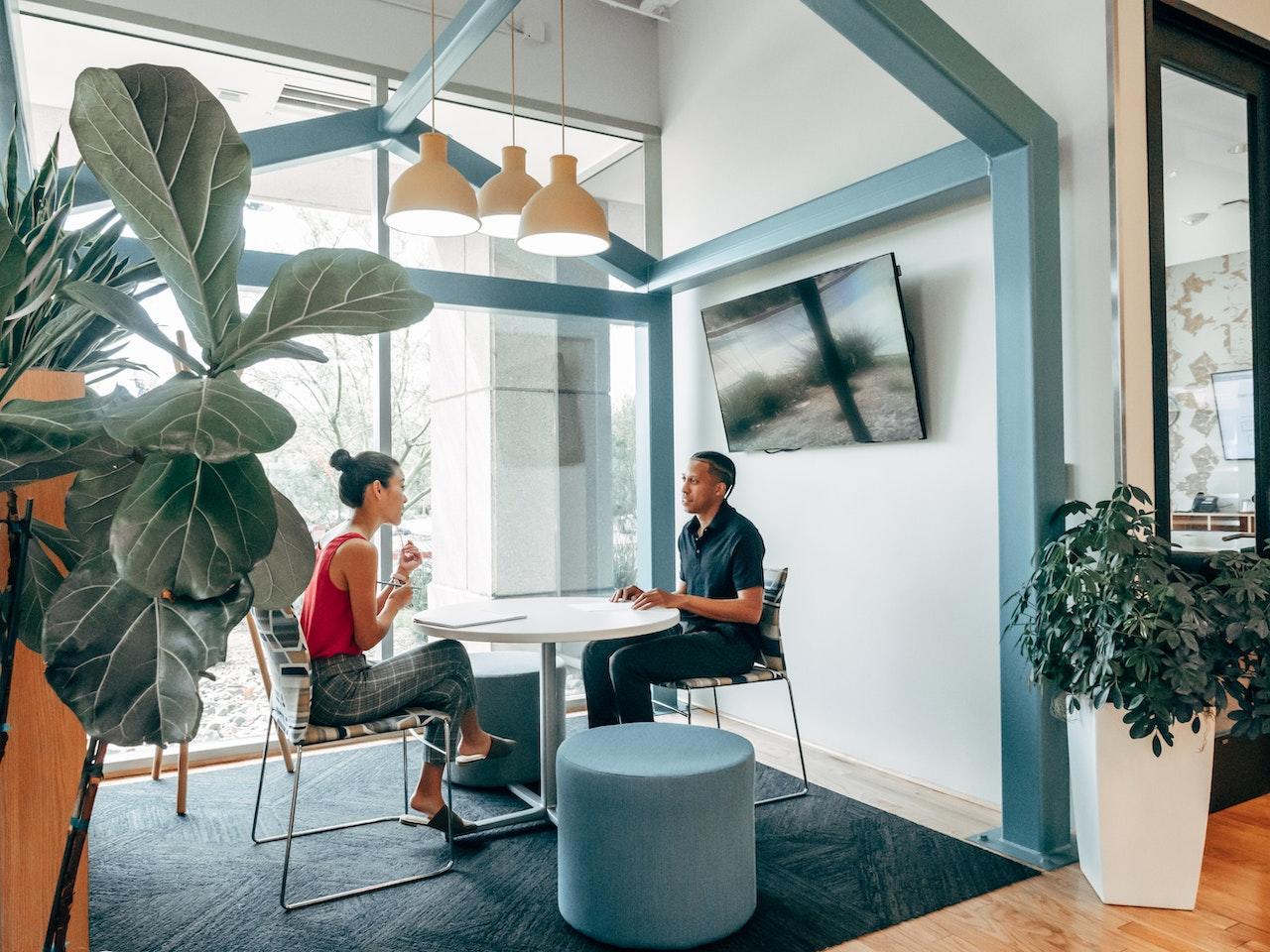 A casual interview between two people in a light and airy space with a big plant in the foreground.
