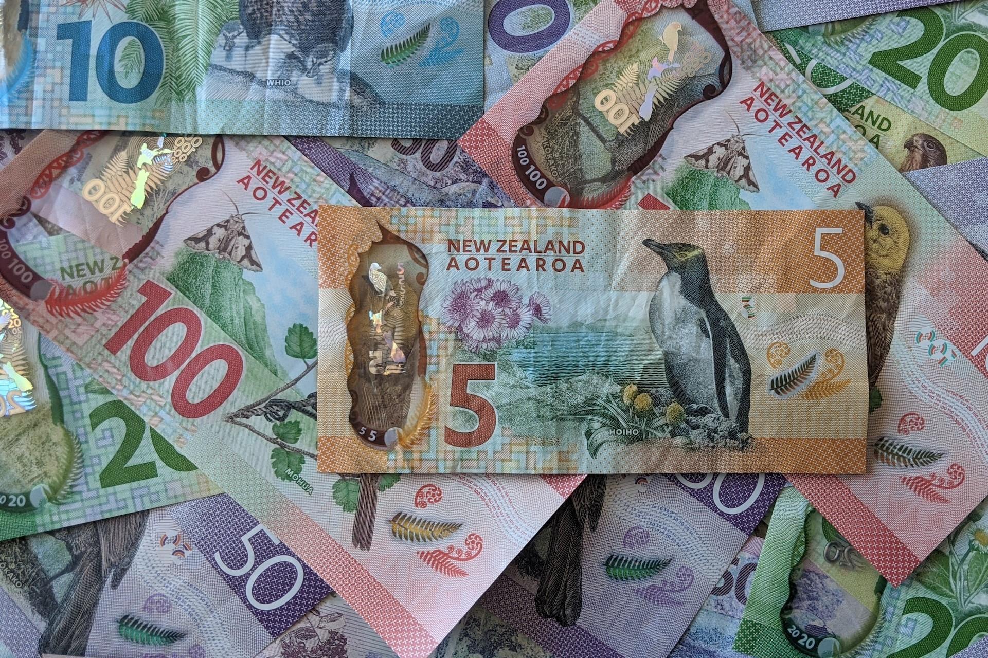 A pile of New Zealand dollars.