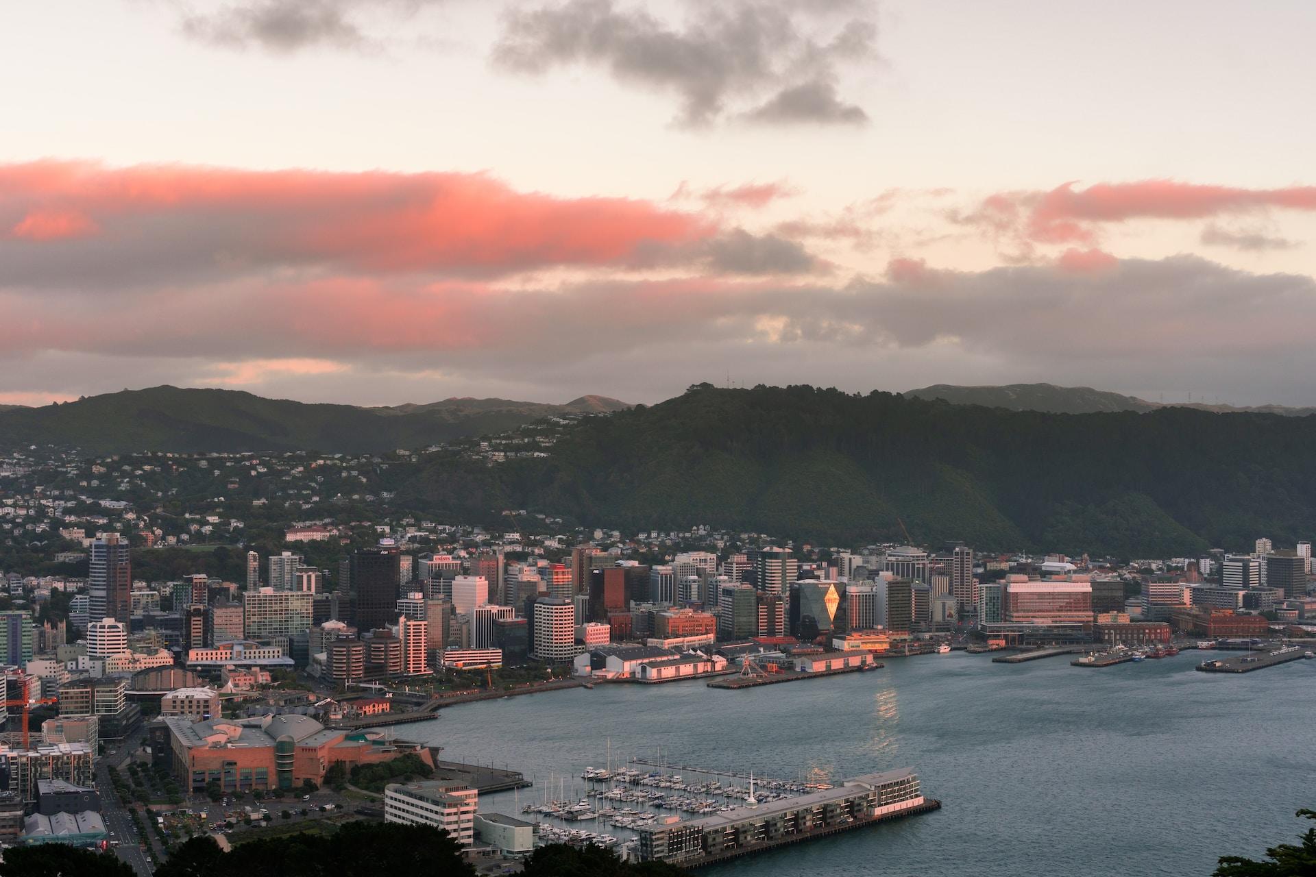 A view of the Wellington skyline.