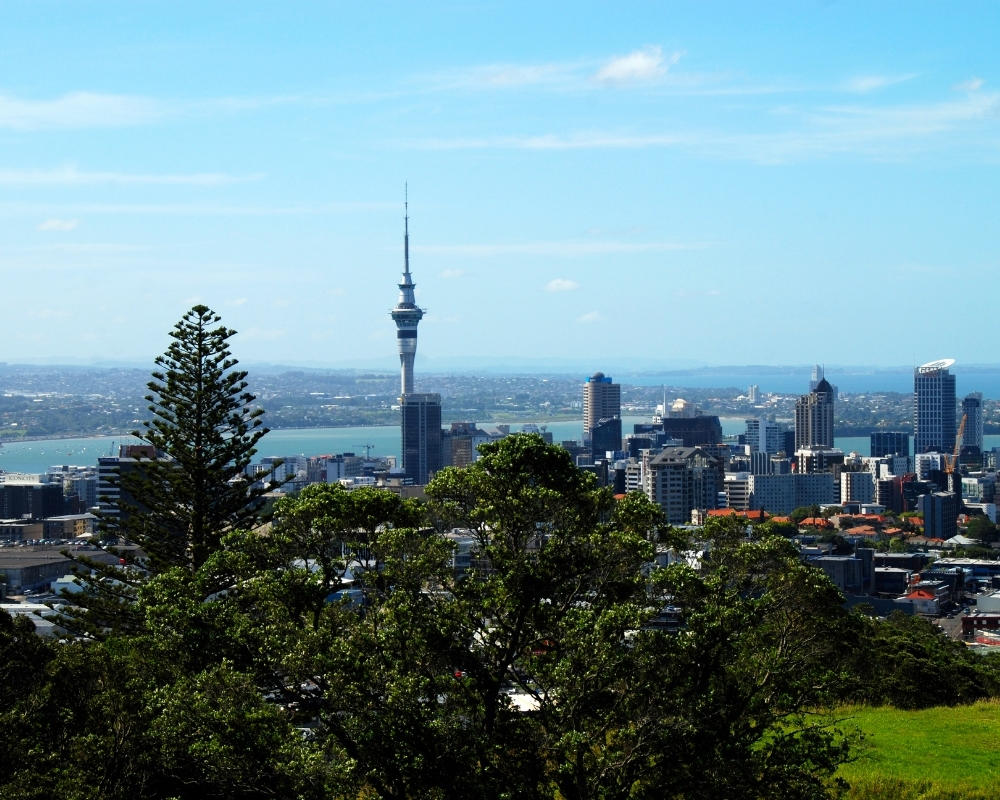 Auckland tower from park - M.Kaercher from Gety
