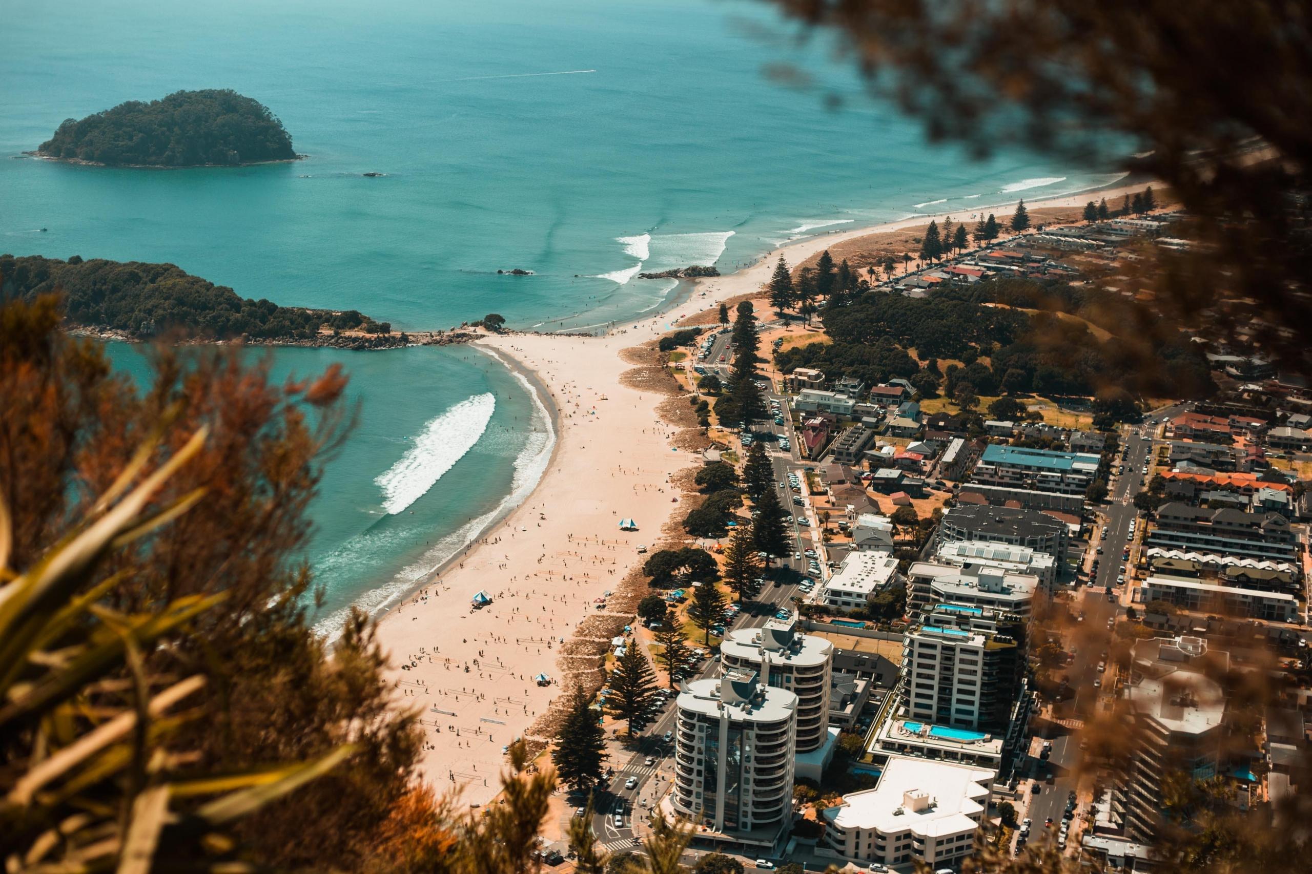 New Zealand landscape from a mountain