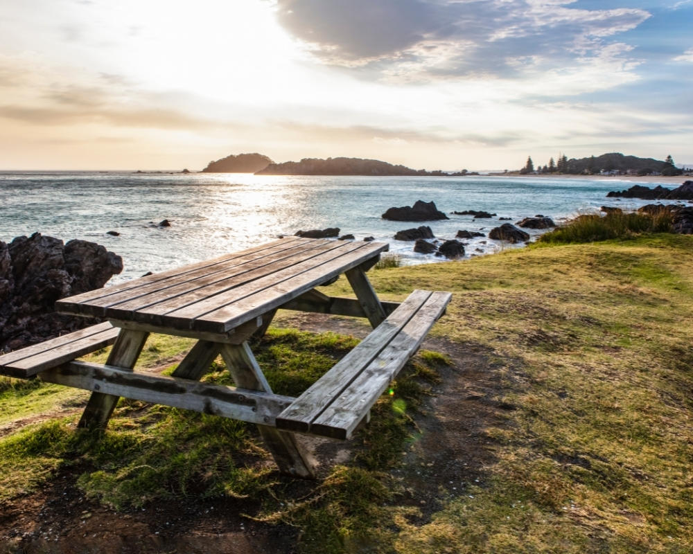 learn english with picnic in Tauranga