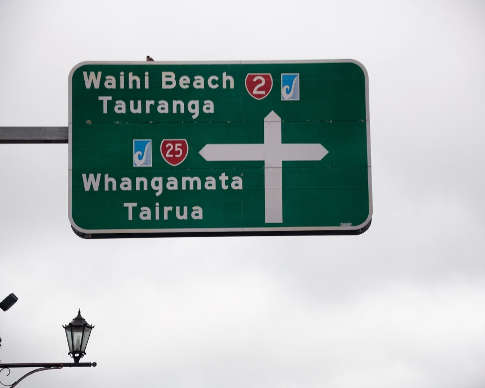 Leave Auckland and Learn English in Tauranga
