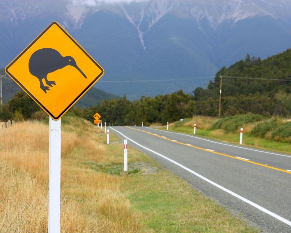NZ English Kiwi Crossing Sign in Landscape