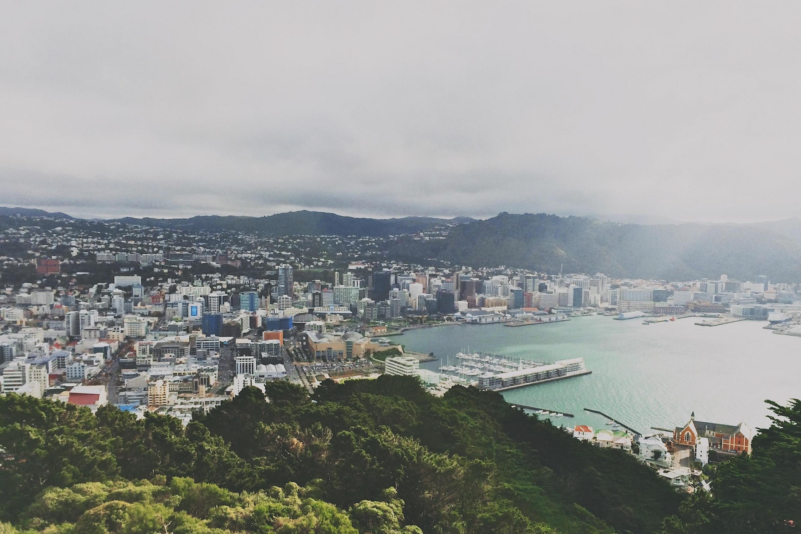 Wellington New Zealand from the sky