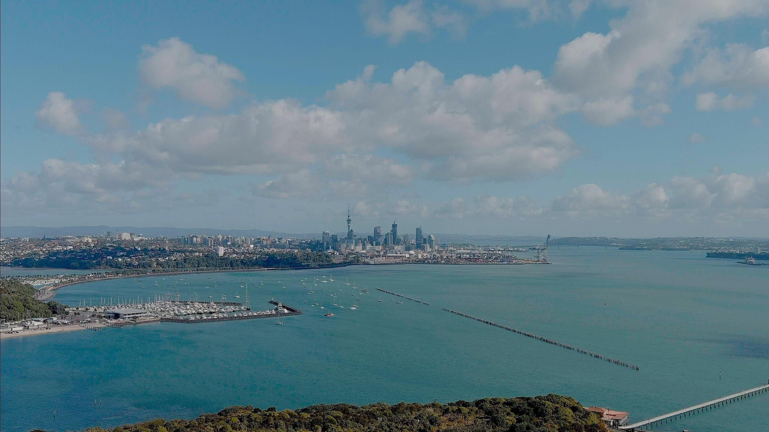 Auckland New Zealand from a distance