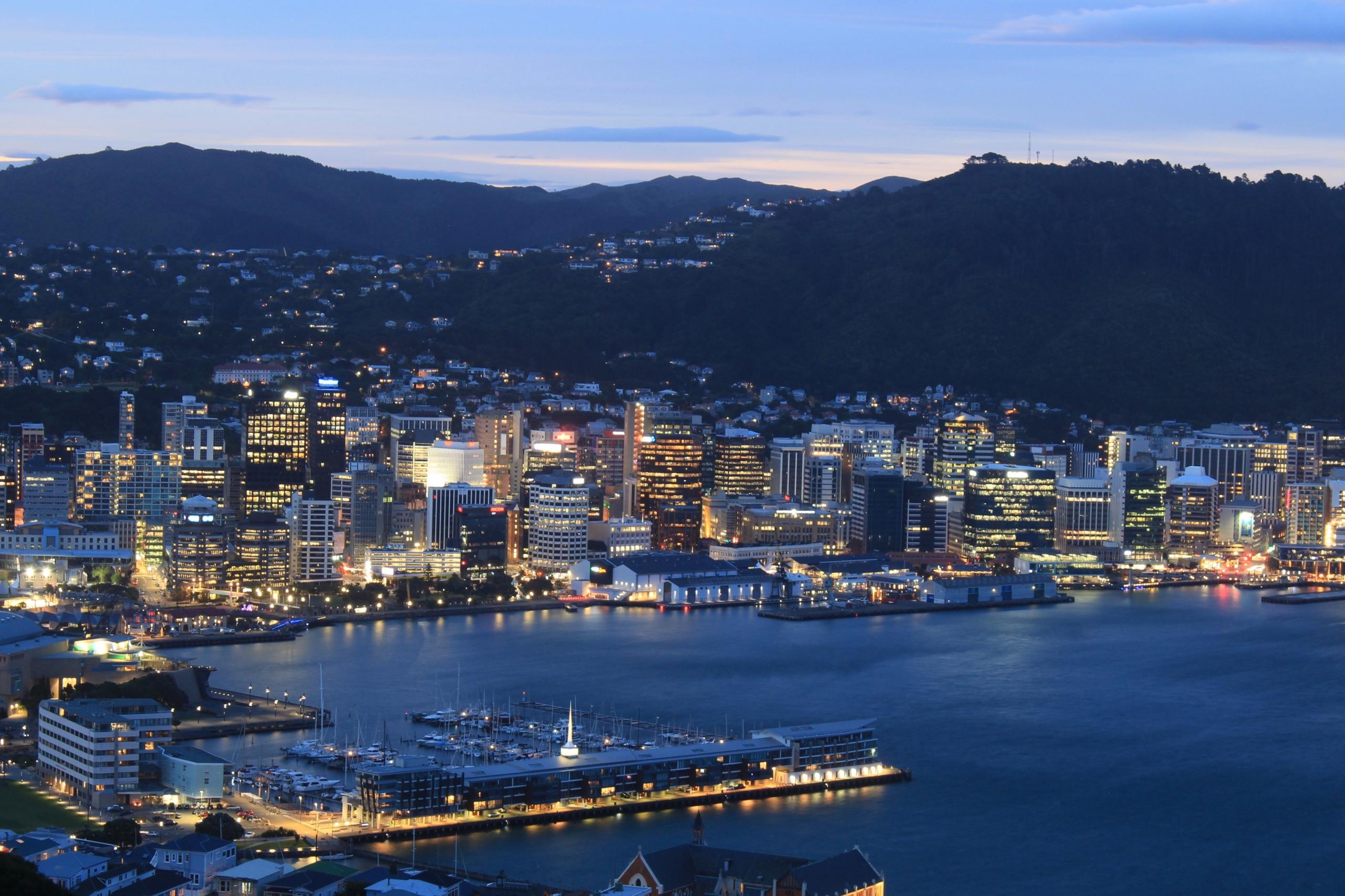 Wellington city view