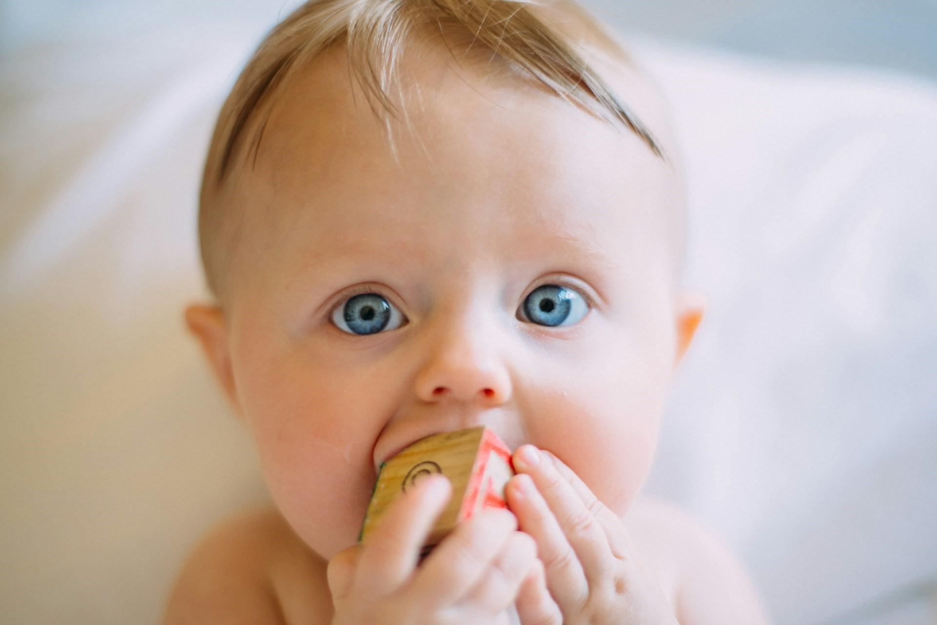 A baby chewing on a building block